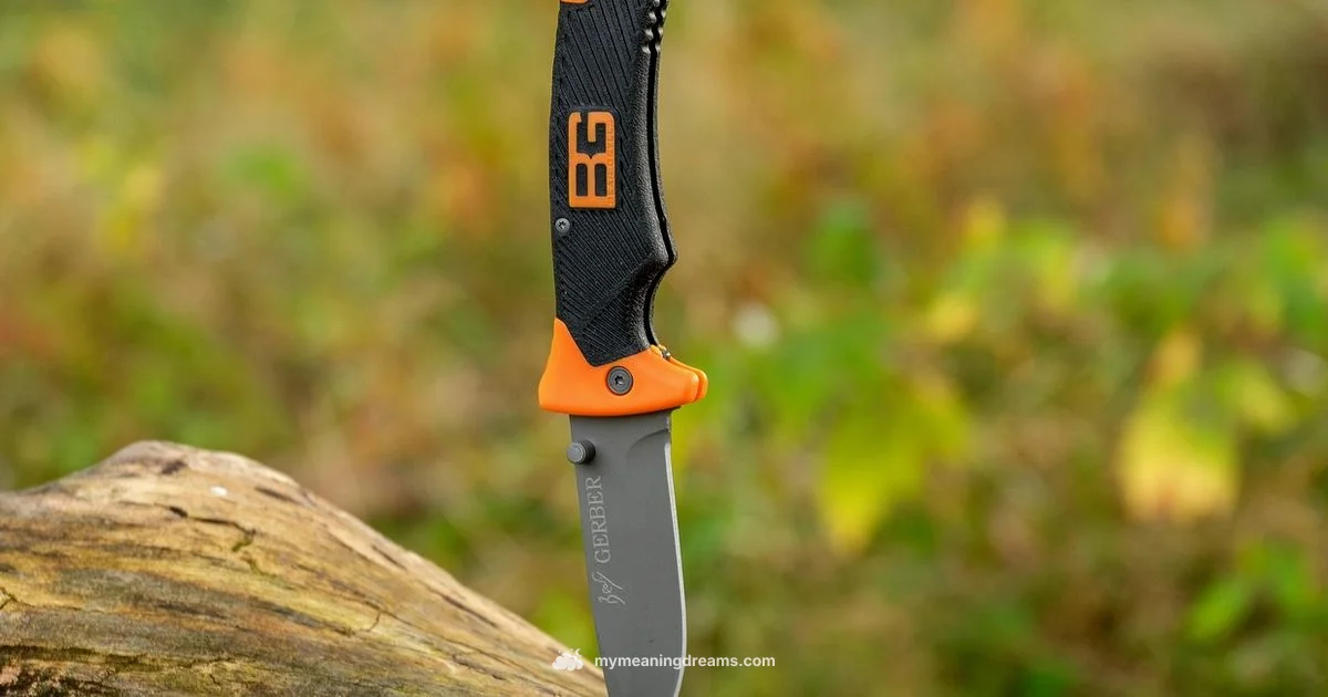 Stabbing Dream Meaning - Meaning of My Dreams