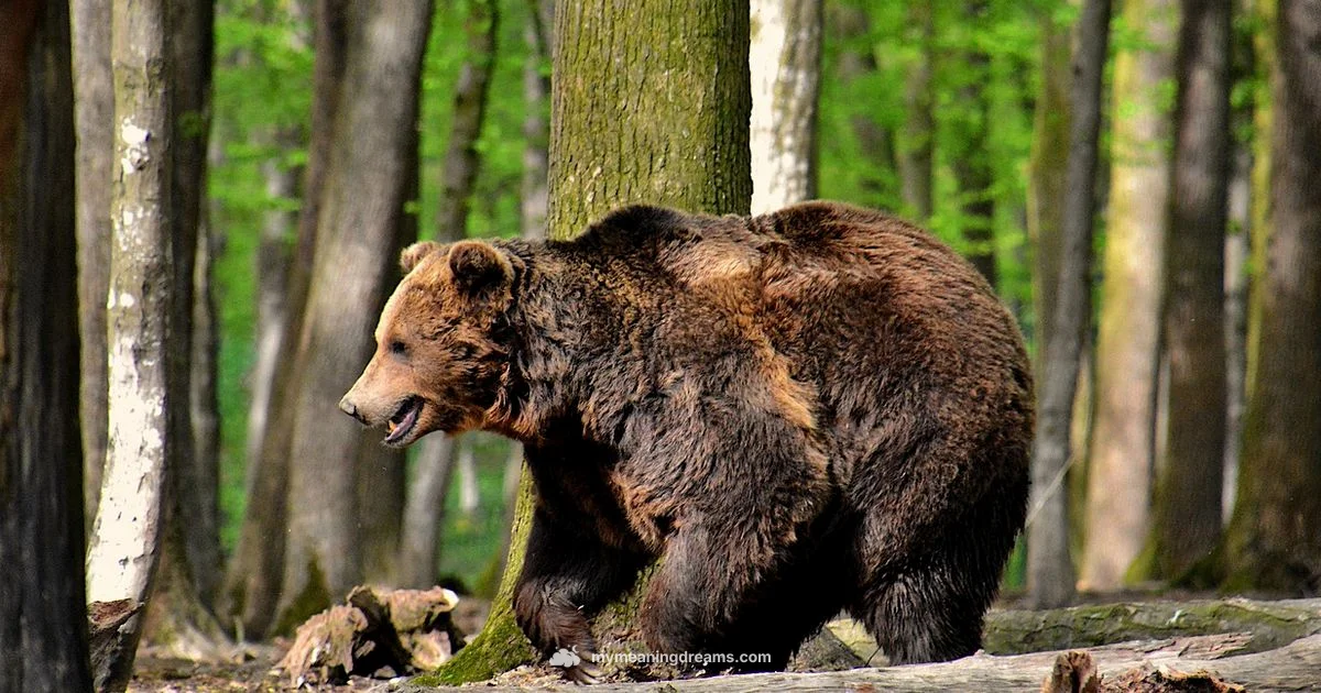 Bear Dream Insight - Meaning of My Dreams