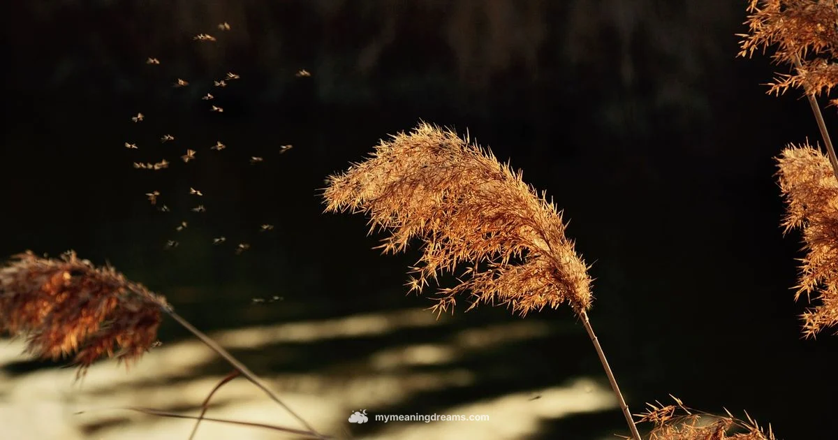 Fly Dream Meaning - Meaning of My Dreams