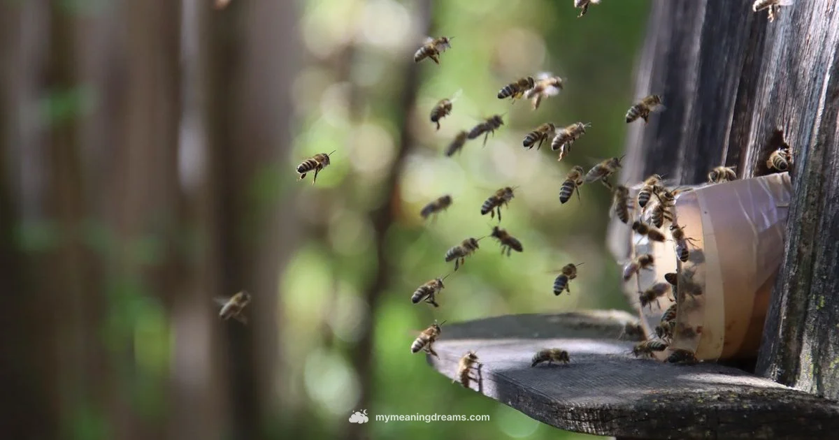 Dream Bees Meaning - Meaning of My Dreams