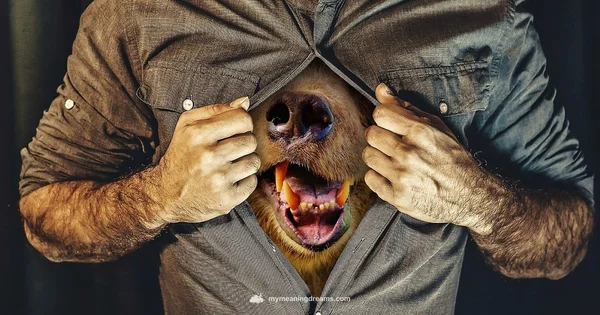 Animal Dreams Unpacked - Meaning of My Dreams