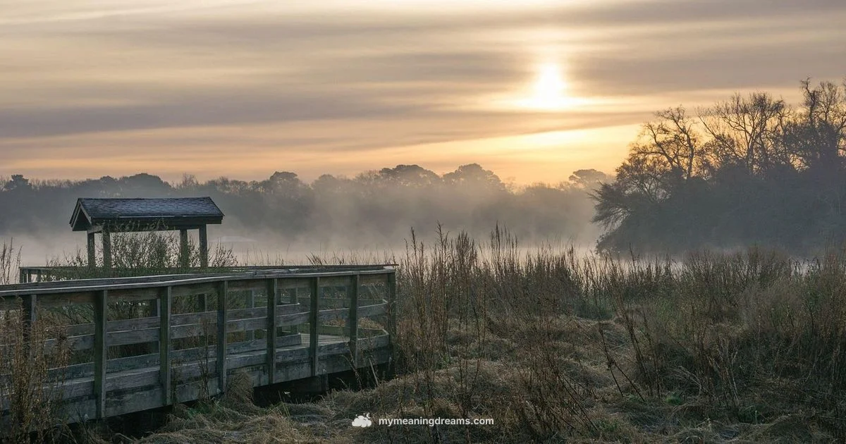 Lucid Dreaming Boost - Meaning of My Dreams