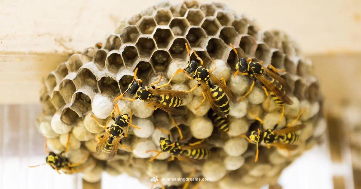 Wasp Dream Imagery - Meaning of My Dreams