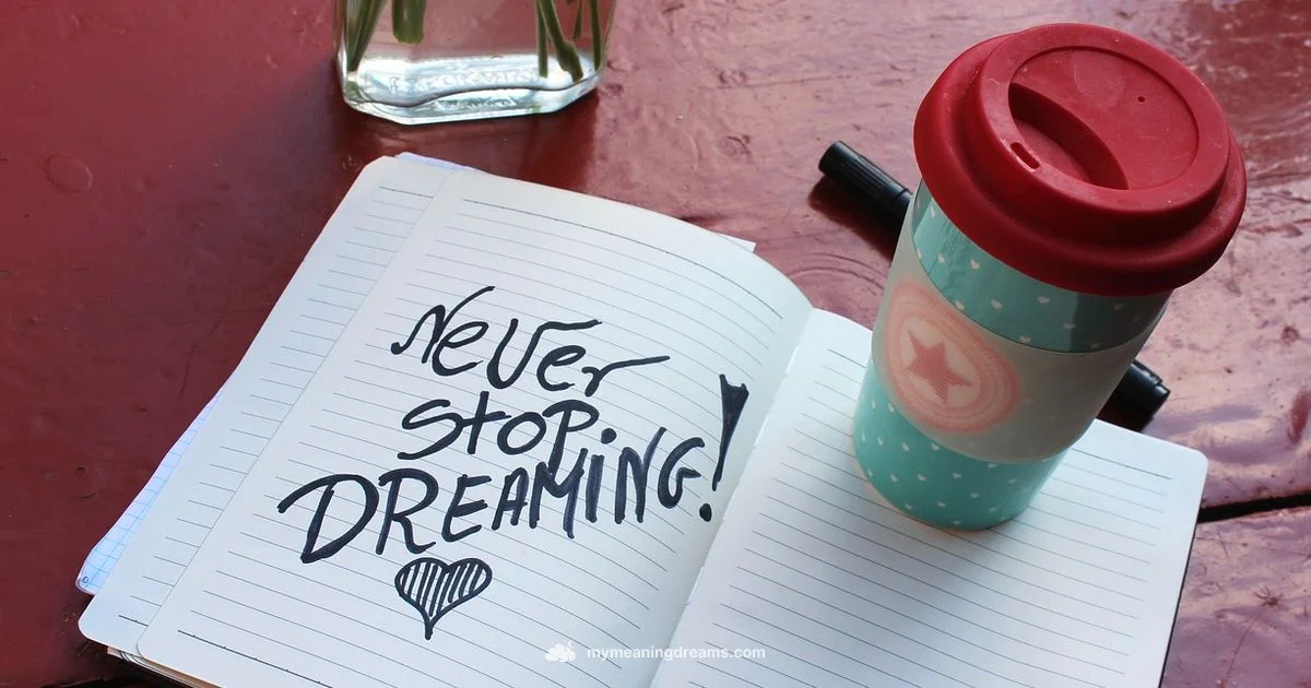 Chasing Dreams - Meaning of My Dreams