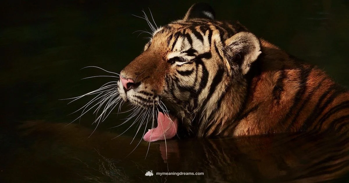 Tiger Dream Meaning - Meaning of My Dreams