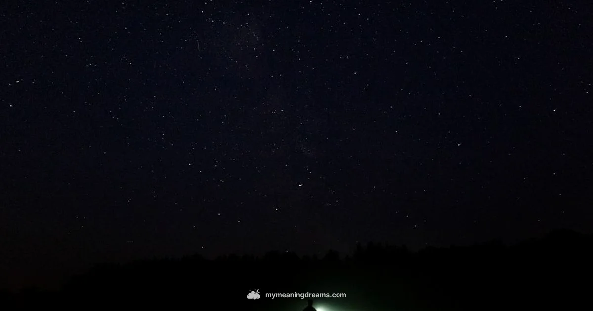 Lucid Dream Guide - Meaning of My Dreams