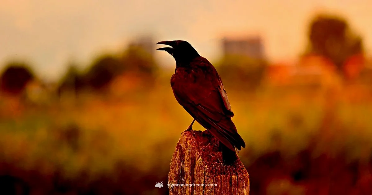 Crow Dream Meaning - Meaning of My Dreams