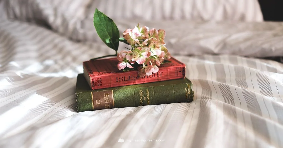 Lucid Dreaming at Night - Meaning of My Dreams