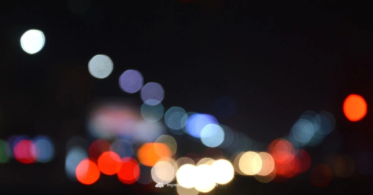 Last Night's Dream - Meaning of My Dreams