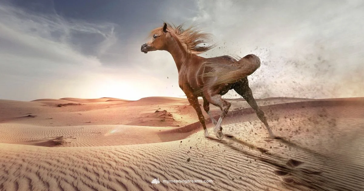 Brown Horse Dream - Meaning of My Dreams