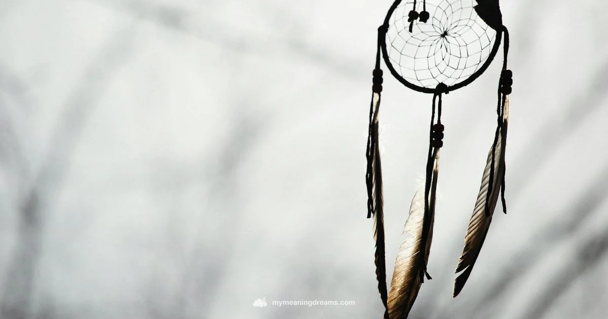 Dream Meaning Box - Meaning of My Dreams