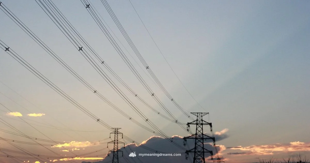 Water Dream Signals - Meaning of My Dreams