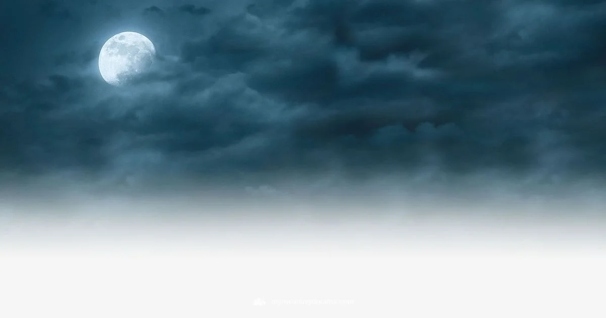 Lucid D Guide - Meaning of My Dreams