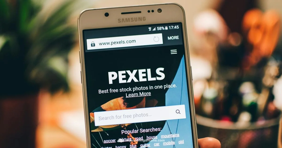 Dream Meaning Guide - Meaning of My Dreams