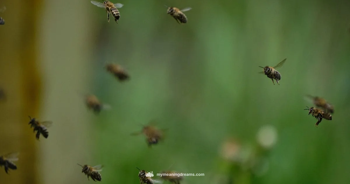 Bee Dream Reading - Meaning of My Dreams