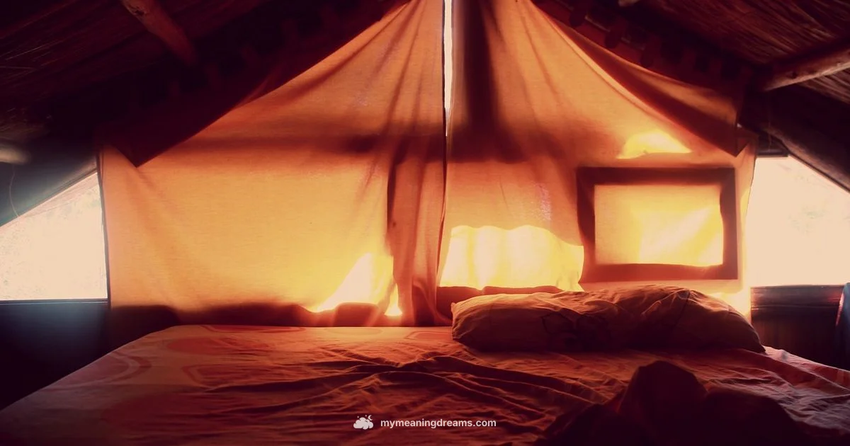 Lucid Device Guide - Meaning of My Dreams