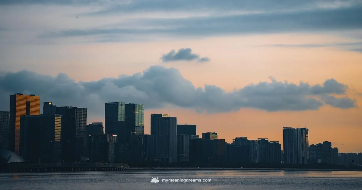 Flight Dream Meaning Flight Dream Meaning - Meaning of My Dreams