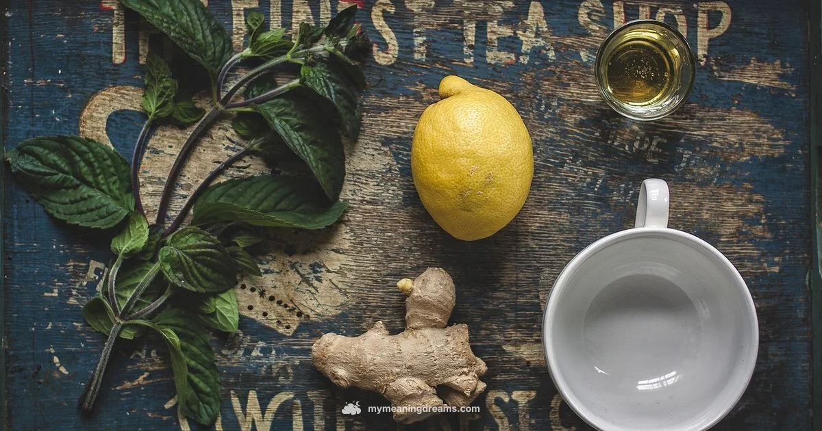 Lucid Dream Tea - Meaning of My Dreams