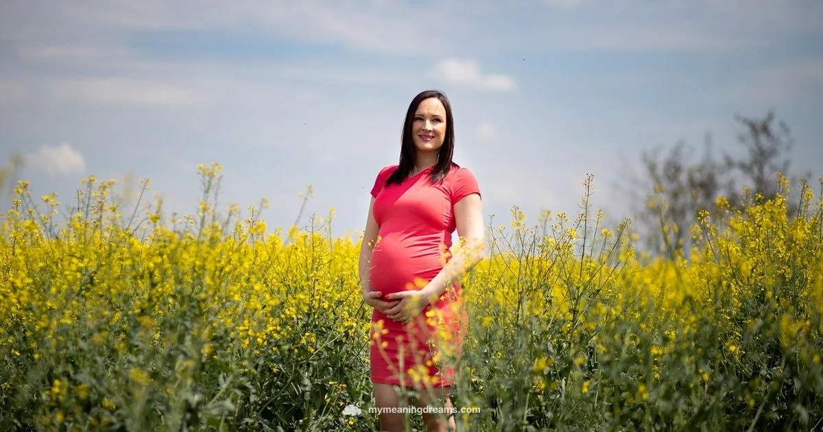 Pregnancy Dream Meaning - Meaning of My Dreams