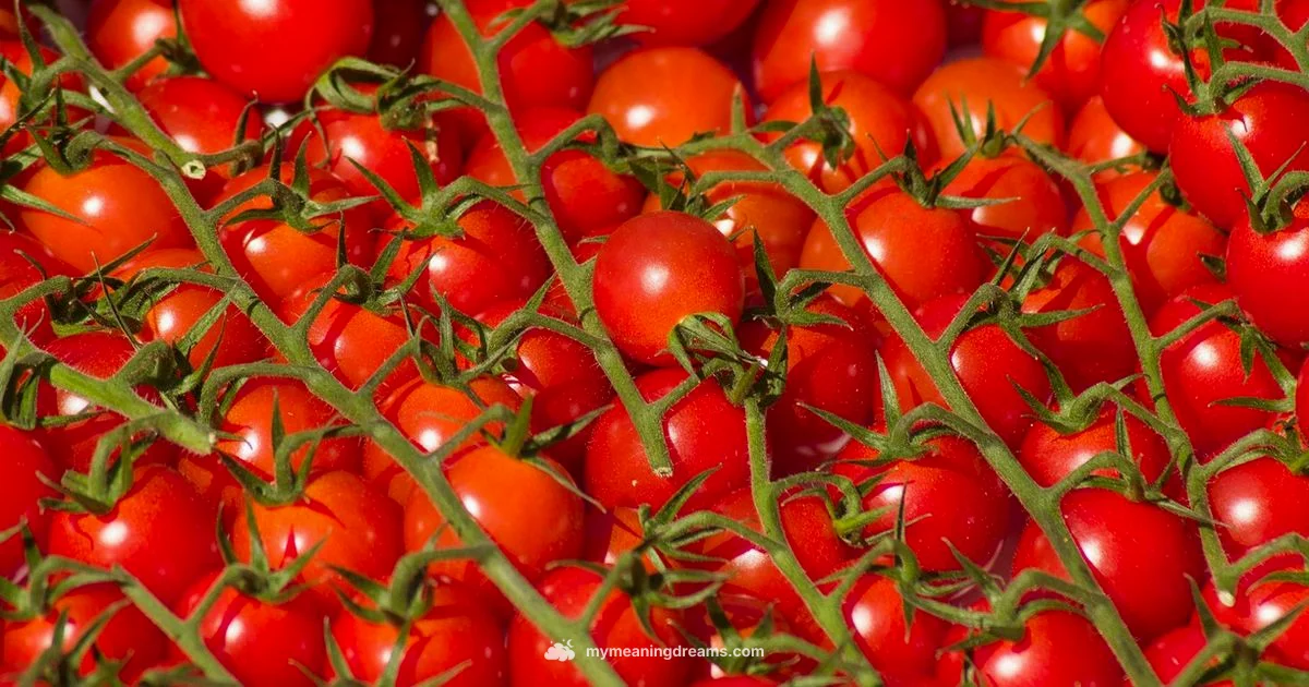 Tomato Dream Meaning - Meaning of My Dreams