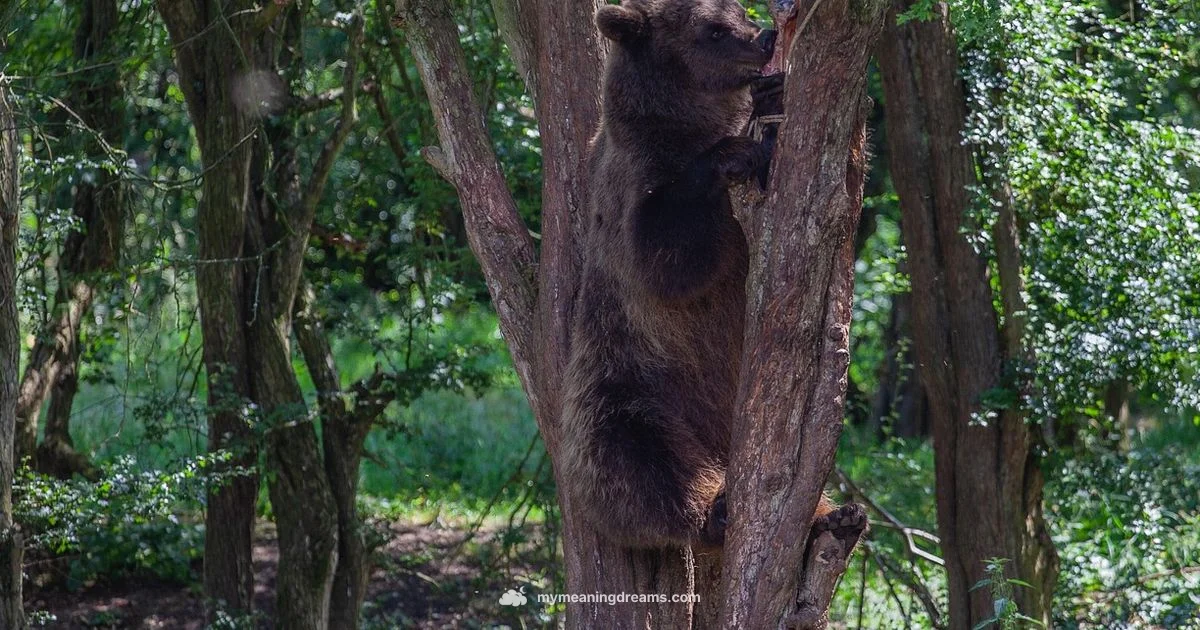 Bear Dream Meaning - Meaning of My Dreams
