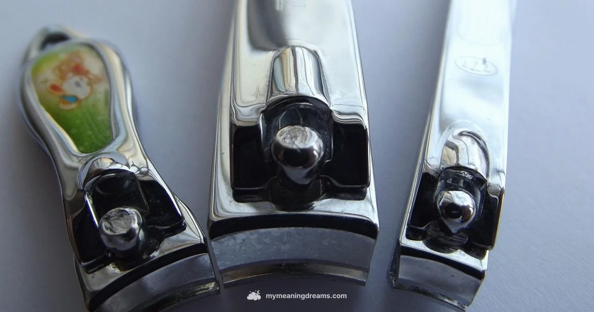 Nail Dream Meaning - Meaning of My Dreams