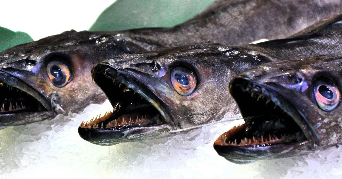 Dream Fish Meaning - Meaning of My Dreams