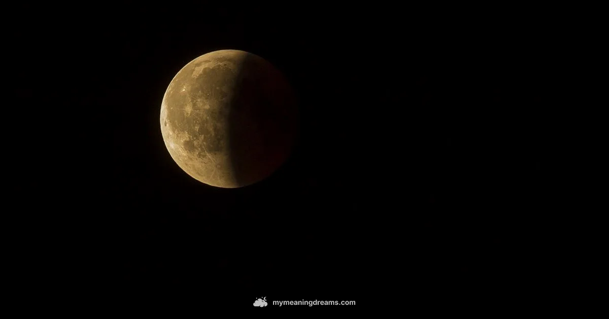 Lucid Dreaming Guide - Meaning of My Dreams