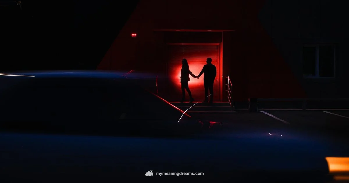 Ex Dream - Meaning of My Dreams