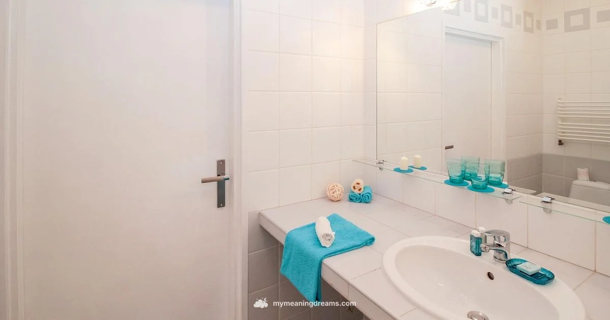 Bathroom Dream Meaning - Meaning of My Dreams