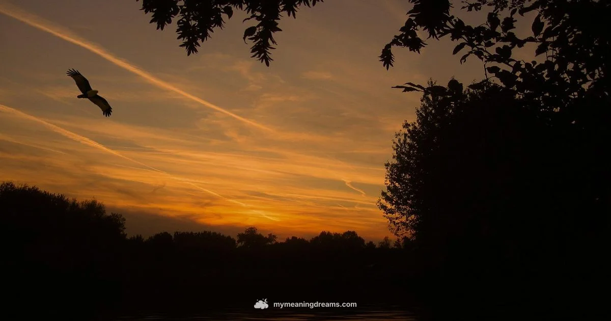 Dream Flight Meaning - Meaning of My Dreams