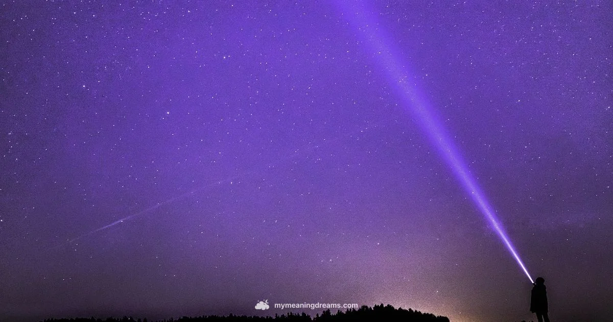 Luminous Dream - Meaning of My Dreams