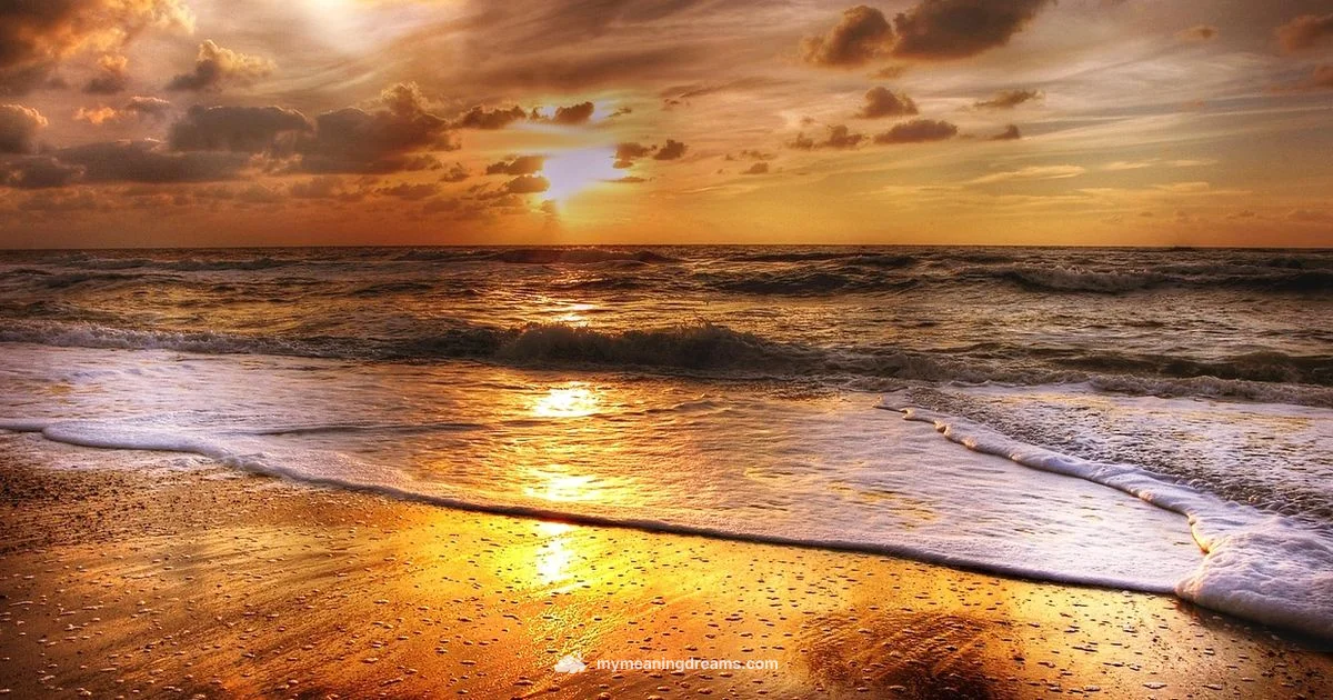 Ocean Dream Insight Ocean Dream Insight - Meaning of My Dreams