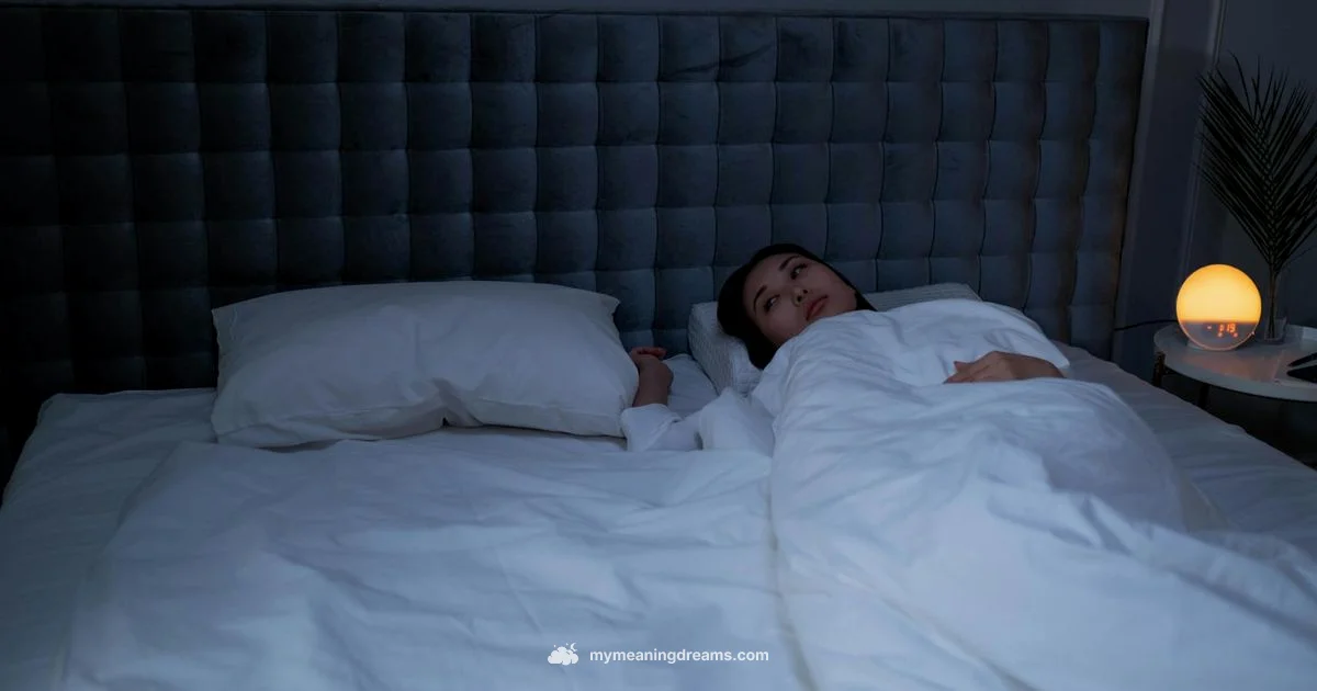 Lucid Dream Fatigue Lucid Dream Fatigue - Meaning of My Dreams