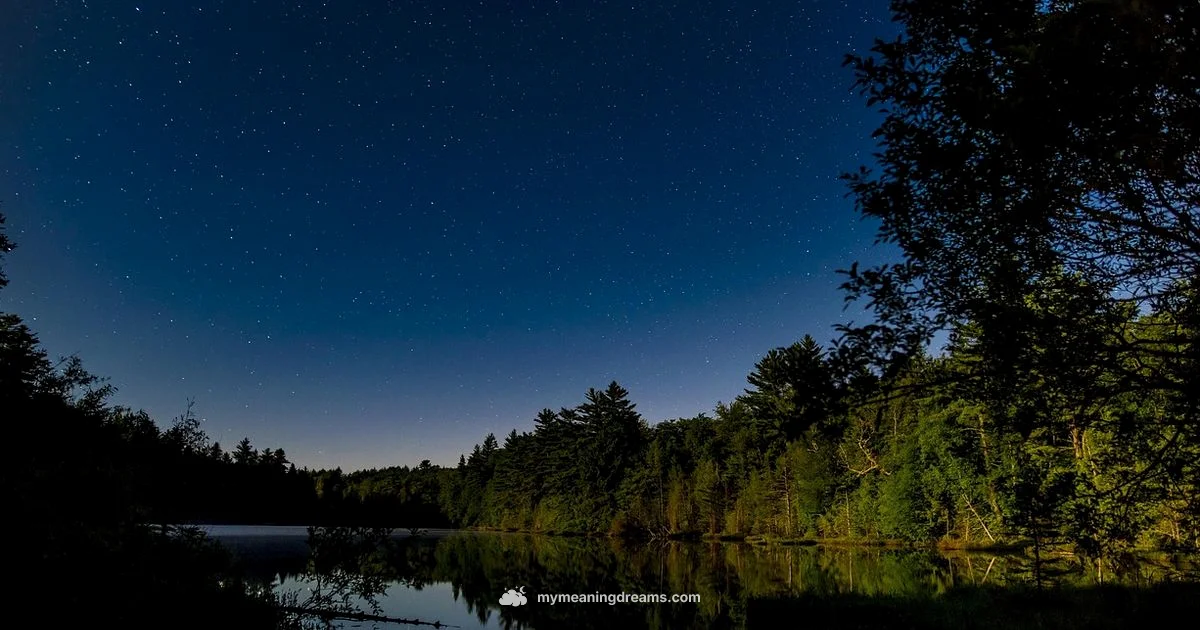 Nightly Lucid Dreams - Meaning of My Dreams