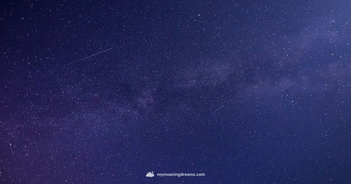 Lucid Dream Guide - Meaning of My Dreams