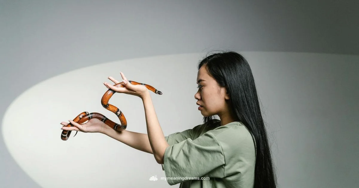 Snake Dream Meaning - Meaning of My Dreams