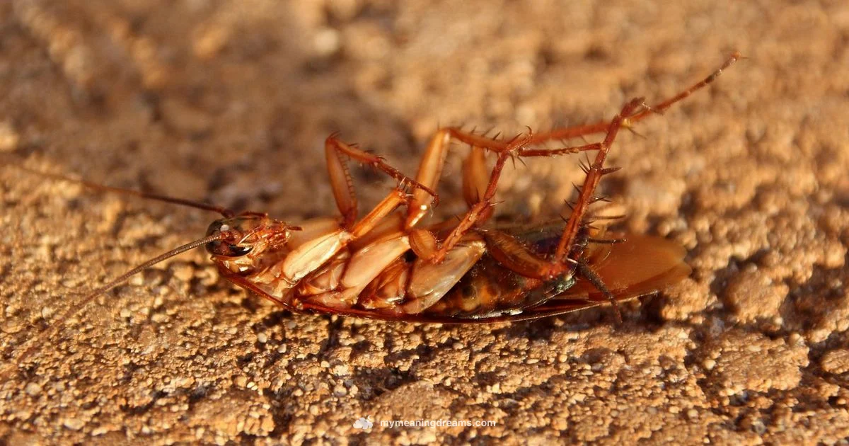 Cockroach Dream Meaning - Meaning of My Dreams