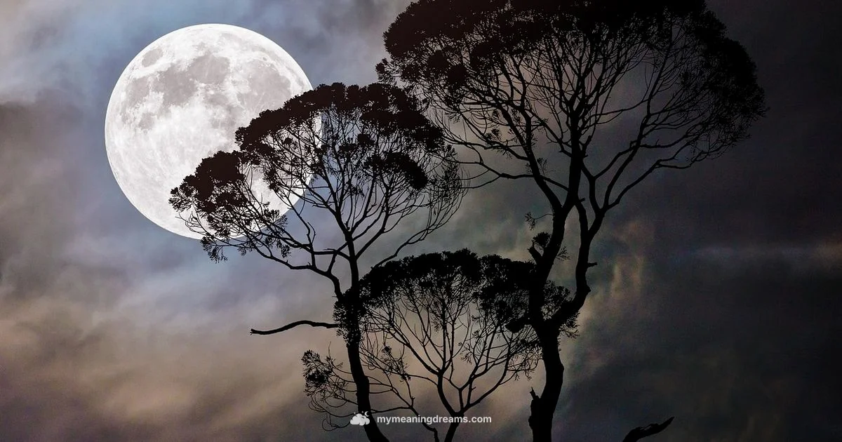 Lucid Dreaming Guide - Meaning of My Dreams