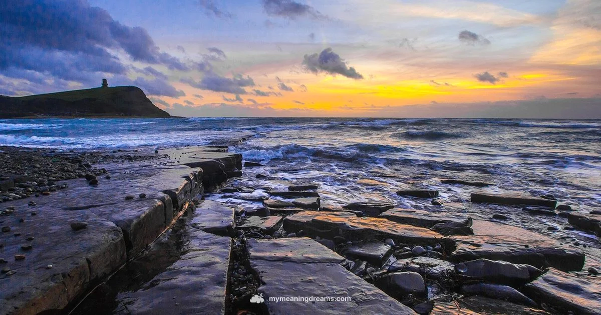 Orca Dream Meaning - Meaning of My Dreams