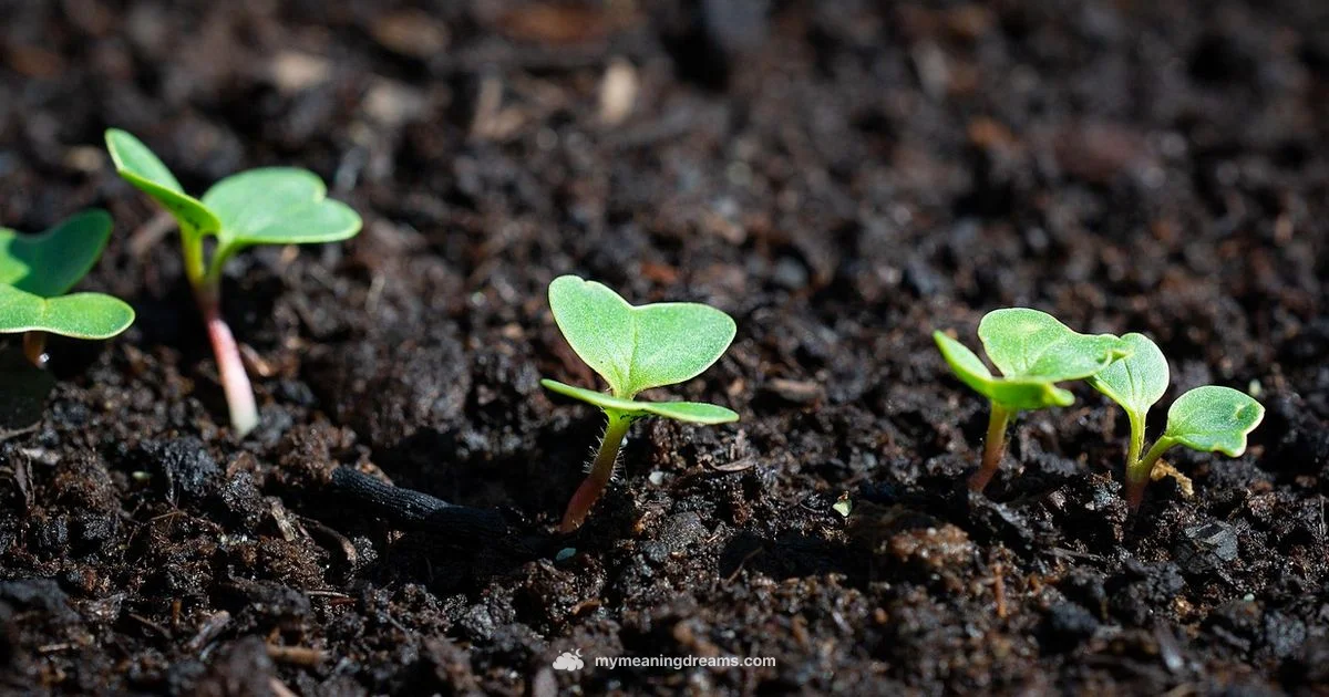 Veggie Dream Symbols - Meaning of My Dreams