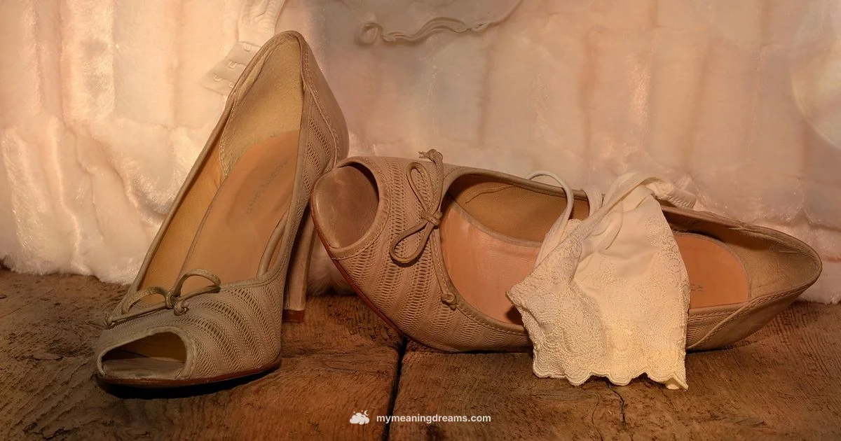 Dream Shoes Meaning - Meaning of My Dreams