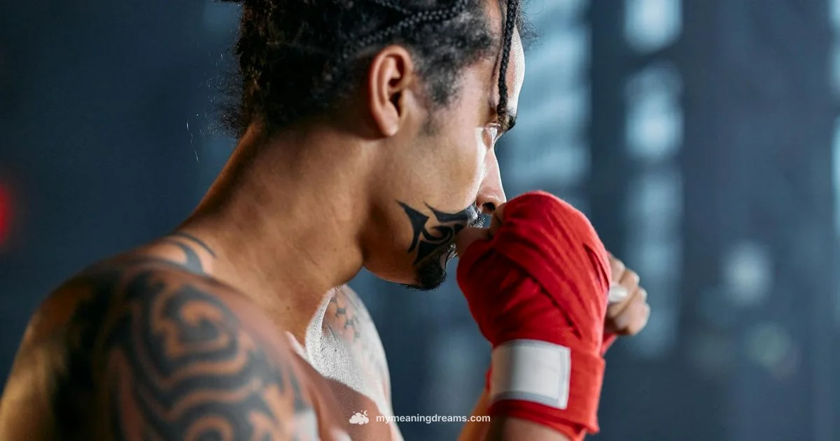 Dream Fight Meaning - Meaning of My Dreams