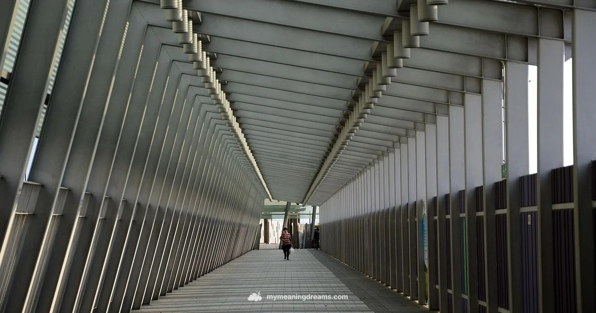 Struggle to Walk - Meaning of My Dreams