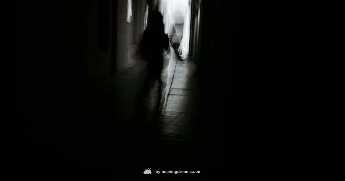 Run and Hide Dream Meaning - Meaning of My Dreams