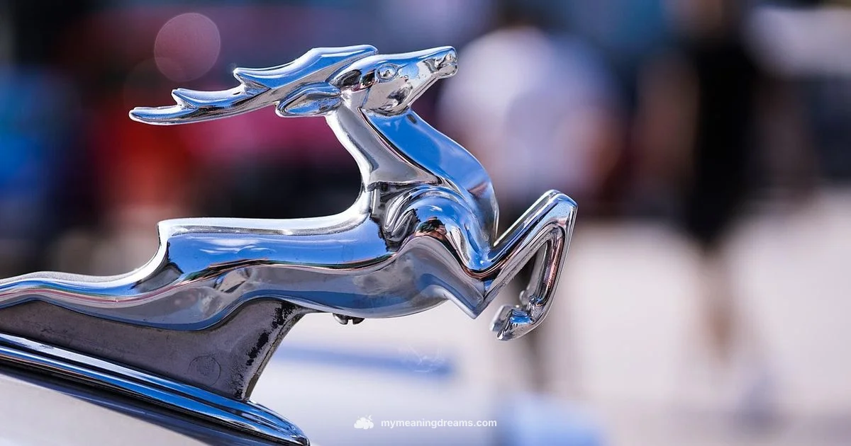 Silver in Dreams - Meaning of My Dreams