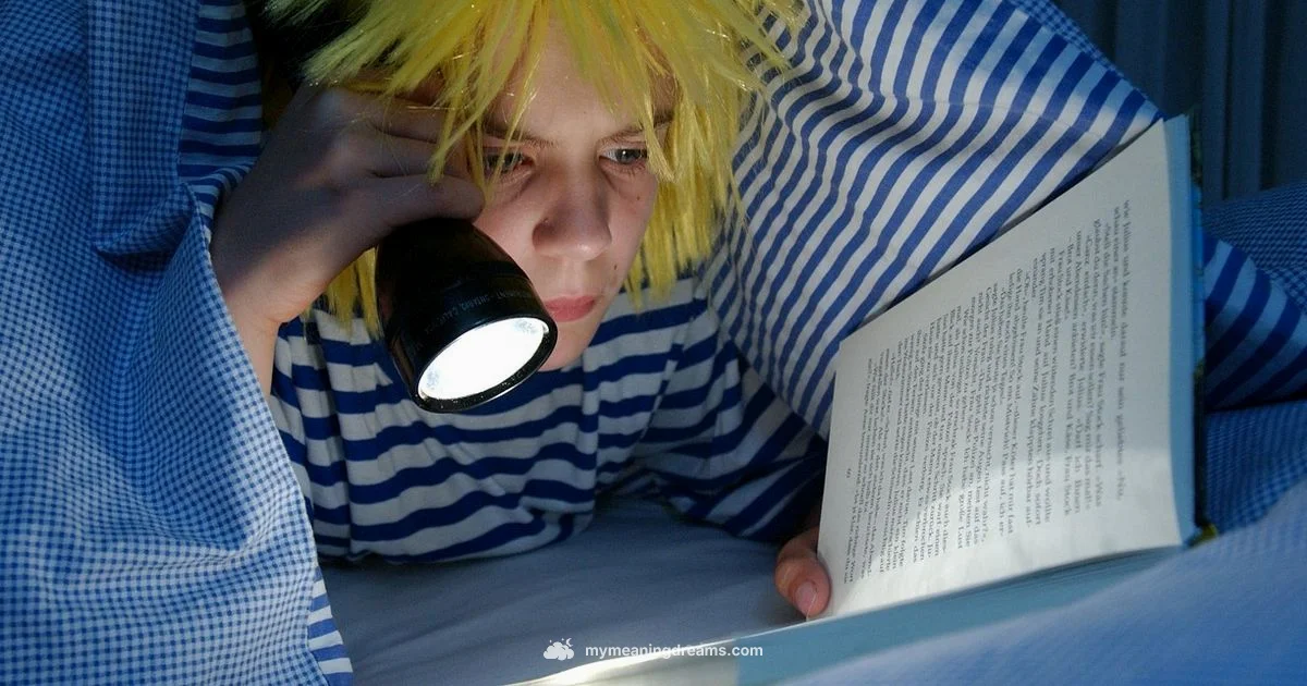 Lucid Dream Sleep Guide - Meaning of My Dreams