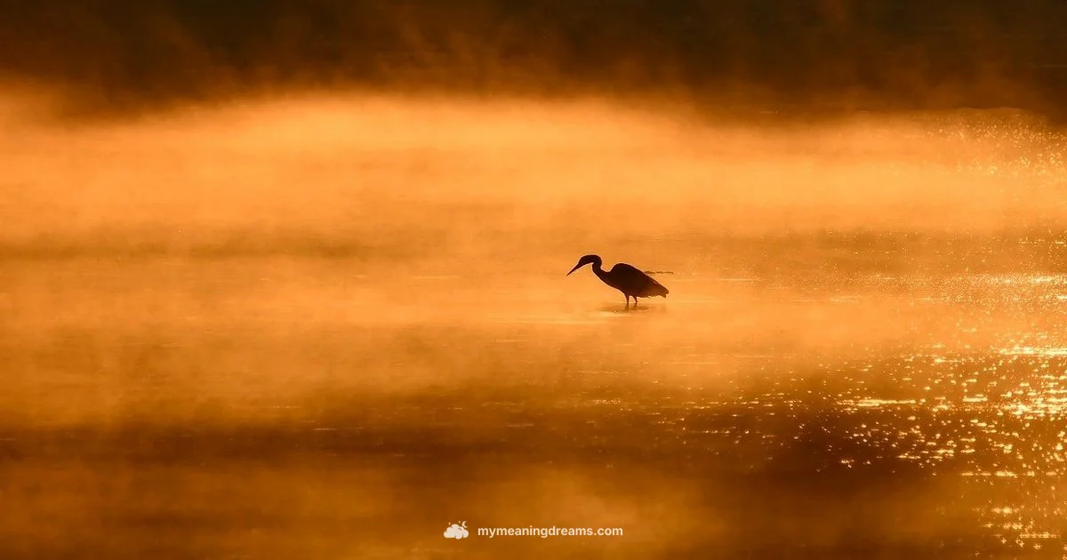 Bird Dream Meaning - Meaning of My Dreams