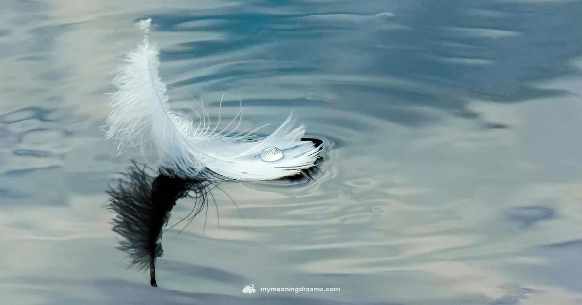 White Feather Meaning - Meaning of My Dreams