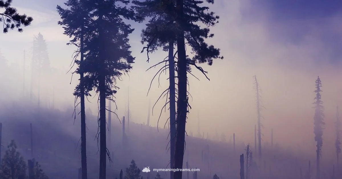 Bear Dream Guide - Meaning of My Dreams